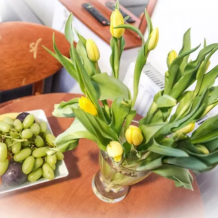 Koala Bed & Breakfast