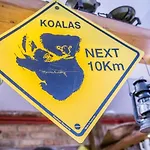 Koala 3*