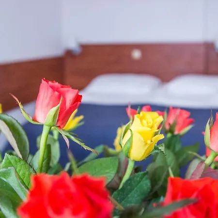 Koala Bed & Breakfast