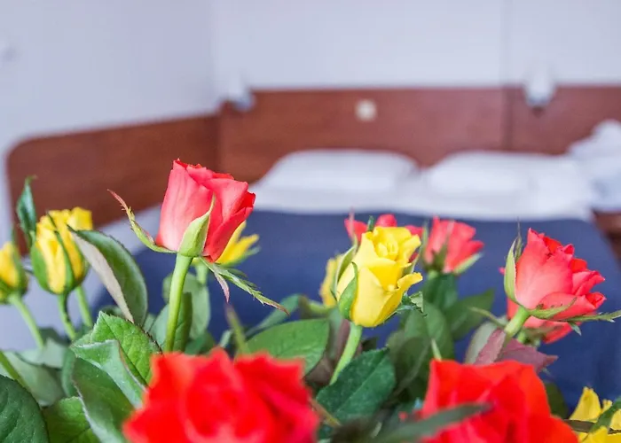 Koala Отель типа 